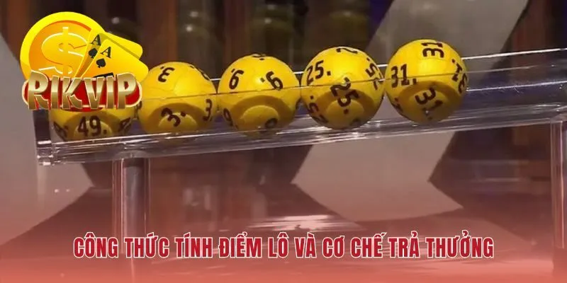 Quy tắc tính điểm lô và cơ chế trả thưởng minh bạch tại hệ thống