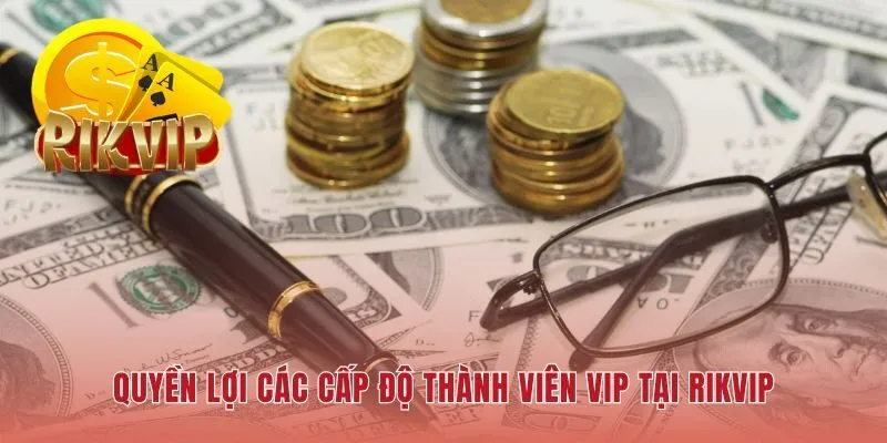 Quyền lợi VIP bao gồm hoàn trả cao hơn và hỗ trợ ưu tiên